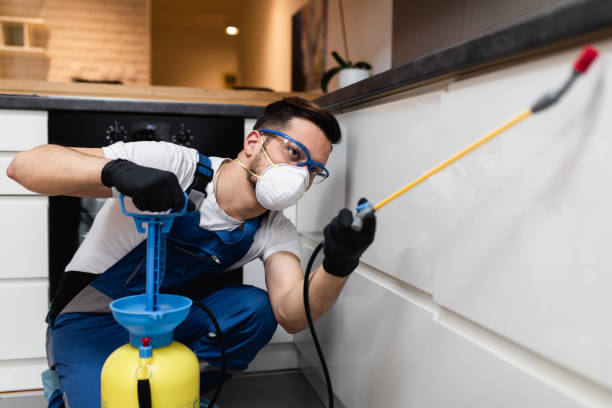 Best Mosquito Control Services  in Sumner, IA