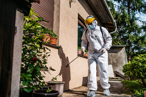 Best Affordable Pest Control Services  in Sumner, IA