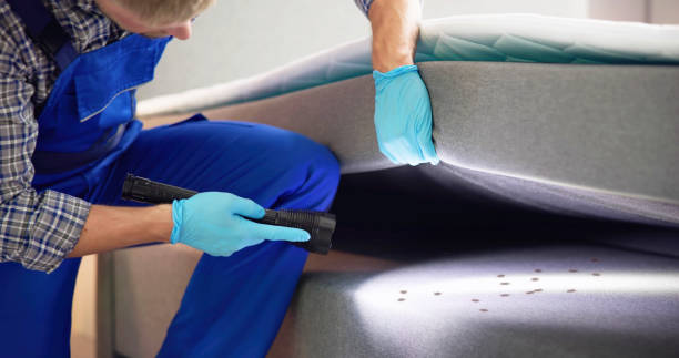 Best Pest Inspection Near Me  in Sumner, IA