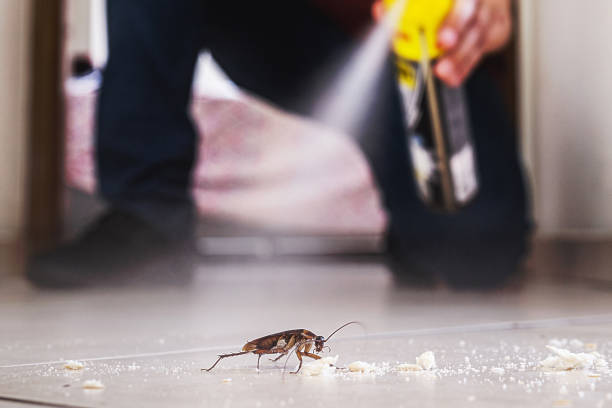 Best Cockroach Control Services  in Sumner, IA