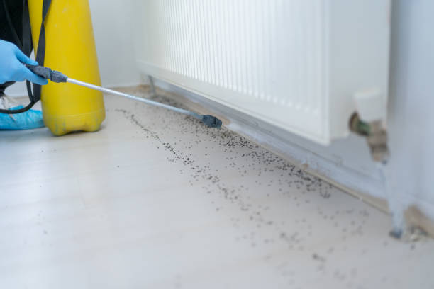Reliable Sumner, IA Pest Control Solutions