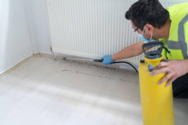 Best Affordable Pest Control Services  in Sumner, IA