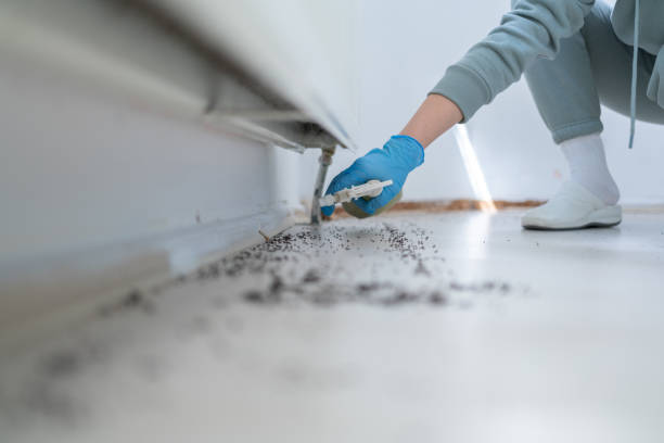 Best Emergency Pest Control  in Sumner, IA