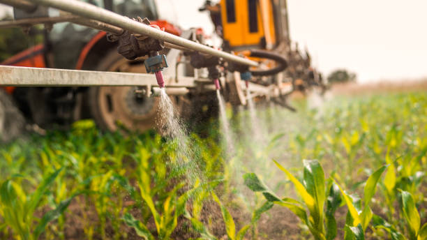 Best Best Pest Control Companies  in Sumner, IA